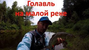 Ловля крупного голавля на малой реке