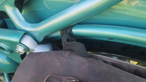 Обзор ретро сумок на Роял Энфилд Классик 650