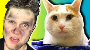 ИГРАЮ С КОТОМ В ИГРУ ДЛЯ ДВОИХ -||- КОТ ФРОСТА)