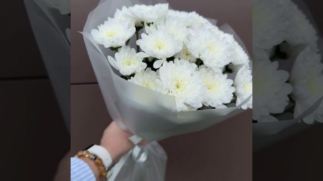 хризантема