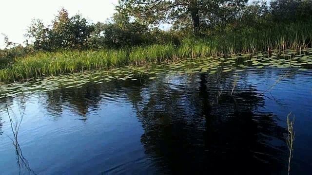 осень пришла поход на избу смотреть онлайн