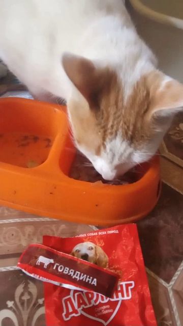 Корм для собак Дарлинг смотреть онлайн