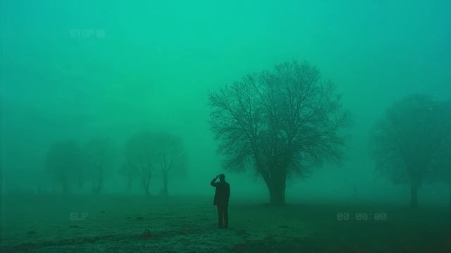 Релакс музыка 🎧 Лучший чилаут 🎵 🌴☀️ Звук #21 смотреть онлайн