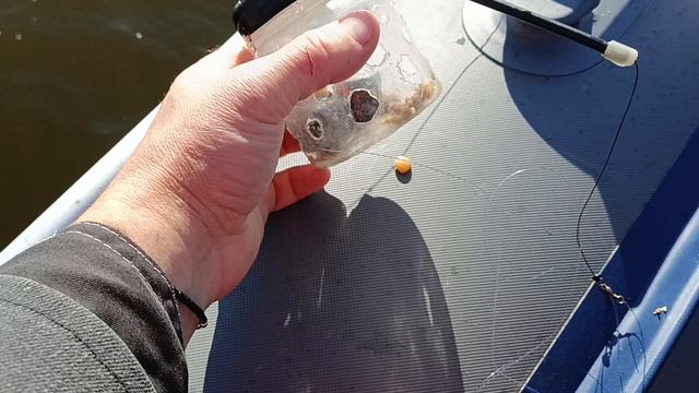 Лещ на банки.