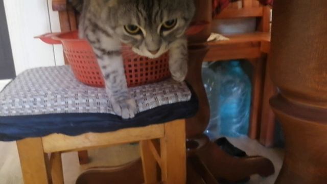 VID_20250912_073142.mp4 смотреть онлайн