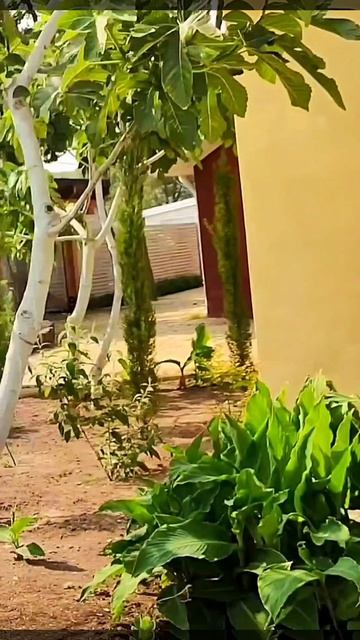 Дельфины говорят Гастроли на море Летняя работа Со спектакля на пляж #море #гастроли #дельфины смотреть онлайн