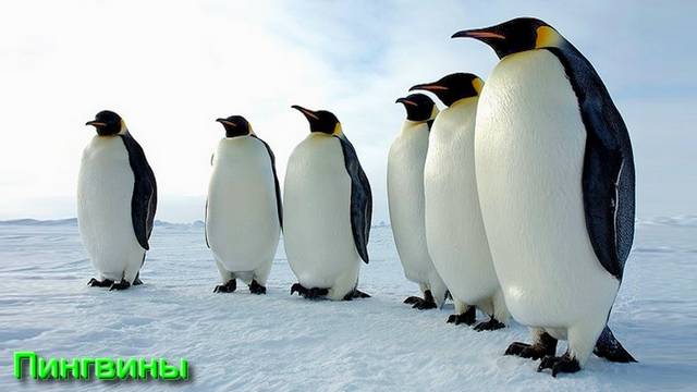 Ответы на Вопросы по Эзотерике от 13.09.25 Часть 3 смотреть онлайн