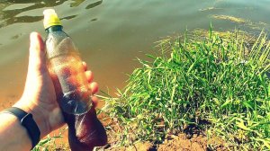 Самодельный ликвид Робин Ред. Реакция рыбы. Подводная съемка