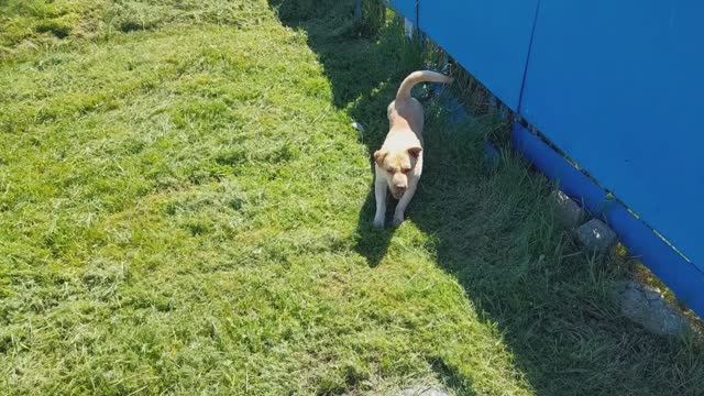 ИЗ МОСКВЫ В ДЕРЕВНЮ смотреть онлайн