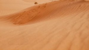 Спецвыпуск майорских новостей.