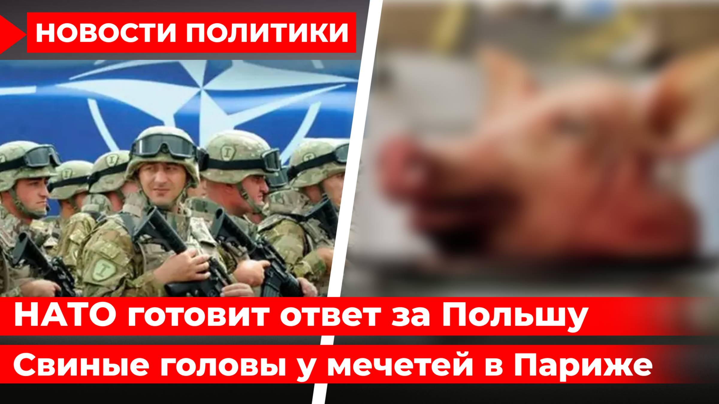 НАТО готовит военный ответ за Польшу. Исламофобия во Франции. Турция против Эрдогана. смотреть онлайн