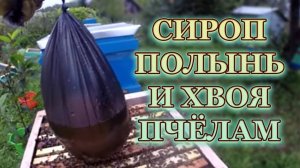 Утренняя закормка пчёл, сиропом с полынью, и хвоей.