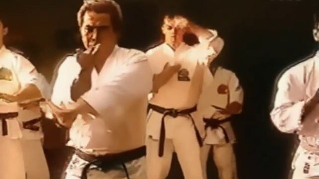 Окинавское каратэ