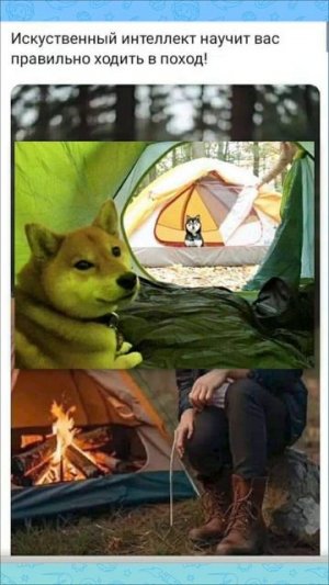 Мемы и мемы