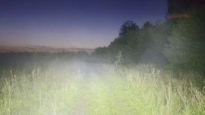 Туман на лугу
