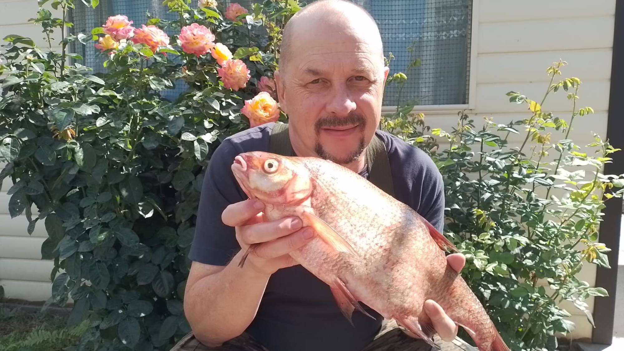 Все в руках Божьих