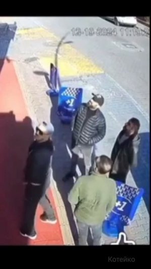 Котоприлёт 🙀