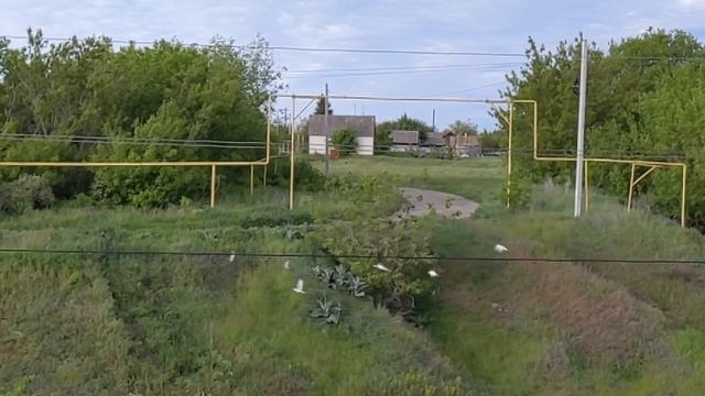 #мучкап - зелень, небо и рельсы