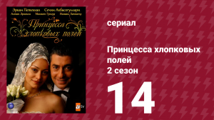 Принцесса хлопковых полей 2 сезон 14 серия (сериал, 2006)