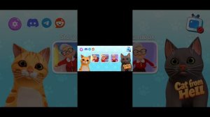 КОТИК И БАБУЛЬКА,  КОТ И БАБКА  , ВРЕДНАЯ БАБУЛЬКА