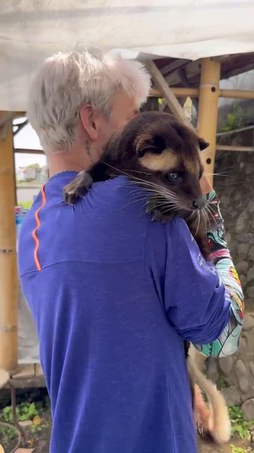 В мире животных 😁 смотреть онлайн