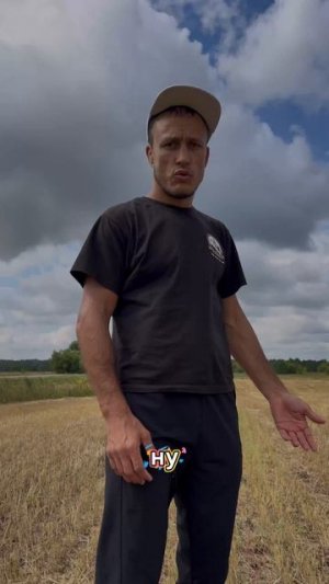 СЭНСЭЙ и сено!😃