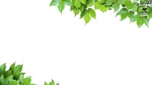 Игра для кошек