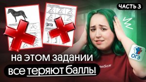 РАЗБОР 13 ЗАДАНИЯ ОГЭ ПО БИОЛОГИИ 2026 | ЧАСТЬ 3💥