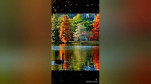 ПЕСНЯ Я ПРИШЛЮ ТЕБЕ ОСЕНЬ . ВИДЕОМОНТАЖ ЕЛЕНА МЕЛЬНИКОВА.