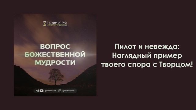 Пилот и невежда: Наглядный пример твоего спора с Творцом! Абу Яхья Крымский смотреть онлайн