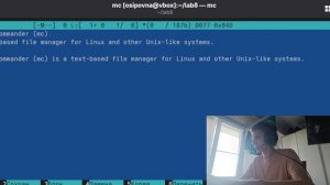 Лабораторная 9