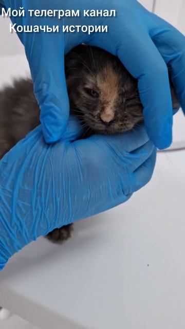 У малышки глаза в гною. Продолжение.