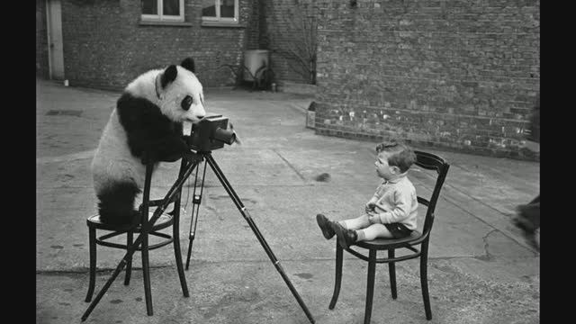 Знакомство с творчеством Берт Харди 2 часть смотреть онлайн