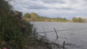 Рыбалка на Карася!  На Крыльях Поплавка! Магия Поплавка! Ловля рыбы!