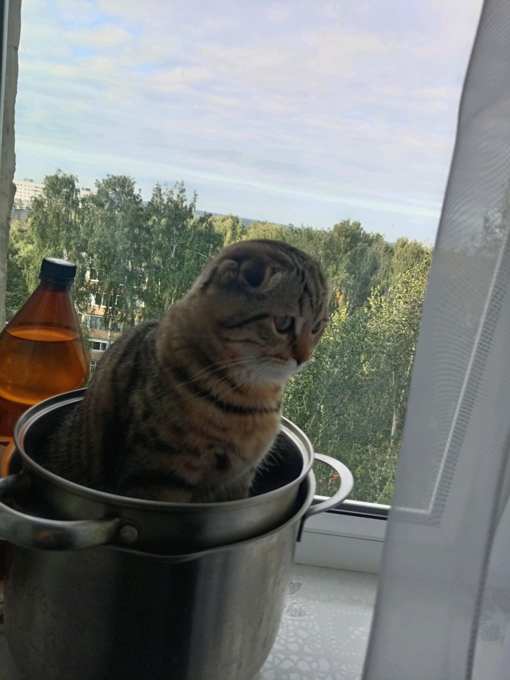 привет смотреть онлайн