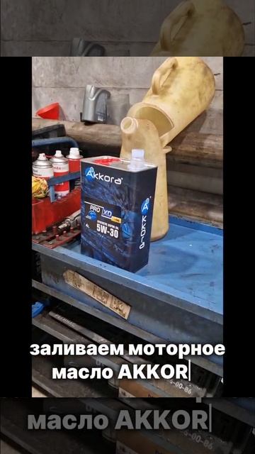 Какое масло лить в Хавал? Мой выбор спустя год — Akkora. #akkora #моторноемасло смотреть онлайн