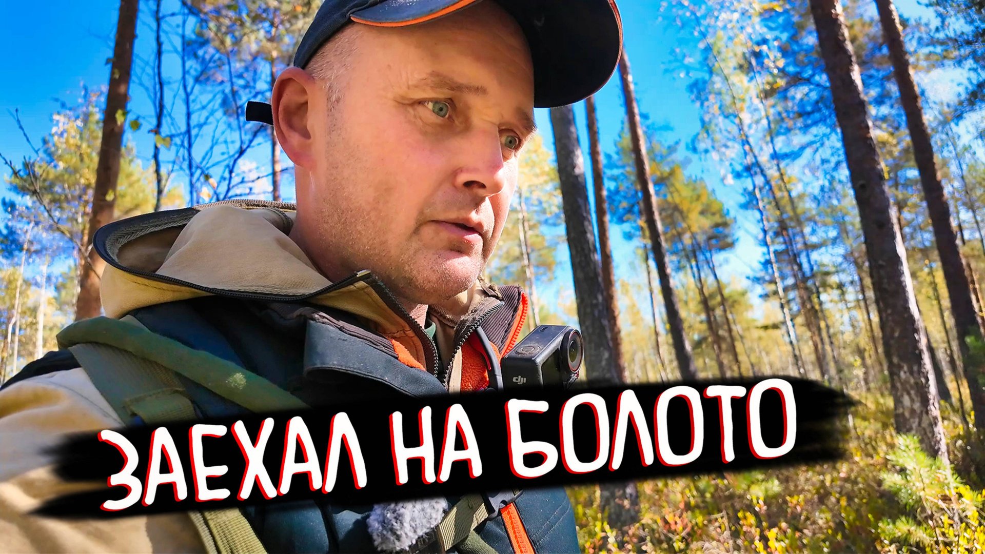 УСТАНОВИЛ ЛЕСТНИЦУ, СЪЕЗДИЛ НА БОЛОТО ЗА ЯГОДАМИ И АРТЕФАКТАМИ. смотреть онлайн