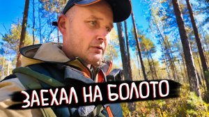 УСТАНОВИЛ ЛЕСТНИЦУ, СЪЕЗДИЛ НА БОЛОТО ЗА ЯГОДАМИ И АРТЕФАКТАМИ.