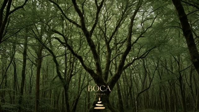 INNER BALANCE | Внутренний баланс