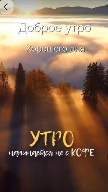 Доброе утро #доброе #яппи #рек #лай #рутуб смотреть онлайн