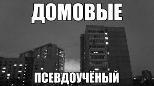 Страшные истории. ДОМОВЫЕ. Псевдоучёный. Часть 29.