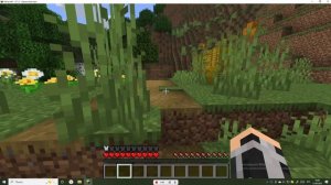 я играю в майнкрафт