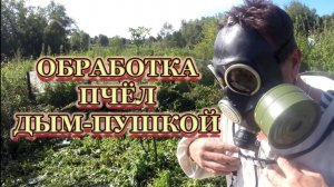 Обработка щавелевой кислотой + дым пушкой пчелиные семьи 28 августа 25 года.