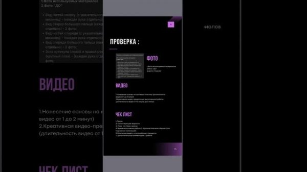 Запись судейского брифа NAIL