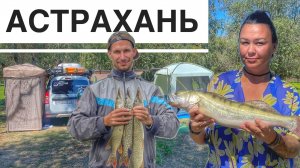 Рыбалка в Астрахани, Уехали на Две Недели на Реку, Ловим Щук, Судака, Сазана. 1 часть