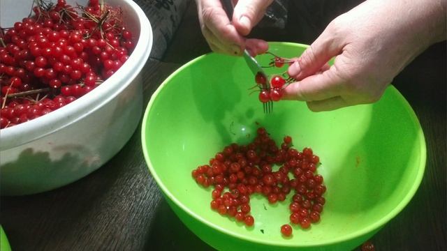 Заготовка калины.