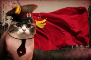 укради бренрот