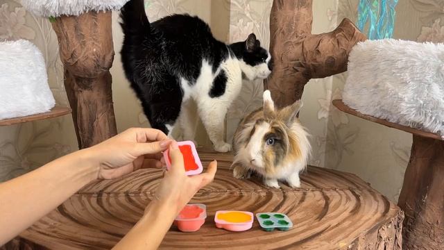 Как сделать табалапку? Просто!Смотри видео от А-нука-Давай-ка!НЕ МОЕ! смотреть онлайн