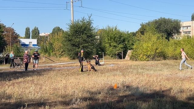 1 Отл. КЧК GERMANIYA v. Wespen Haus +++ №19. ЭНГЕЛЬС 31 августа`25 Моно немецких овчарок