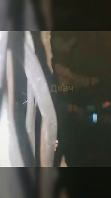 И наступит тишина смотреть онлайн